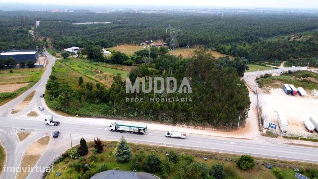 TERRENO RÚSTICO COM MAIS DE 8.700m2 - Grande imagem: 3/6