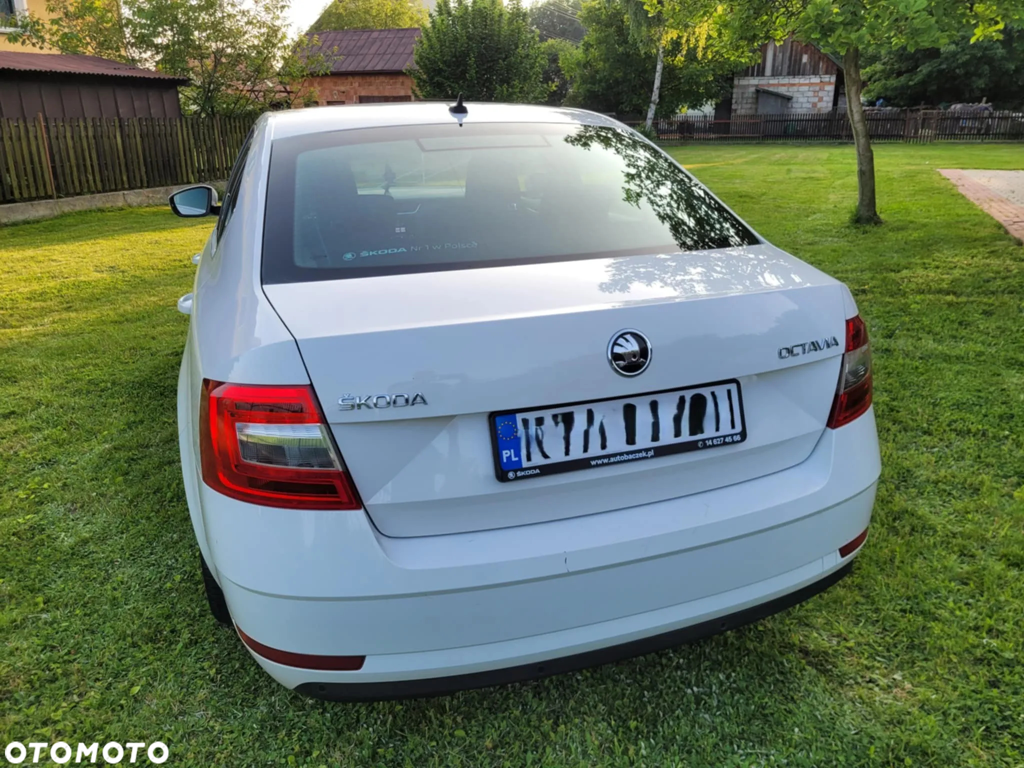 Skoda Octavia - 11