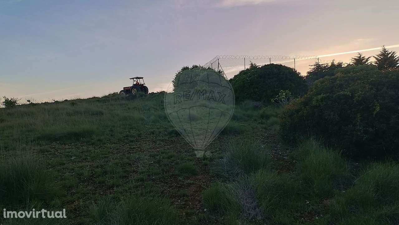 Terreno  para venda - Grande imagem: 2/8