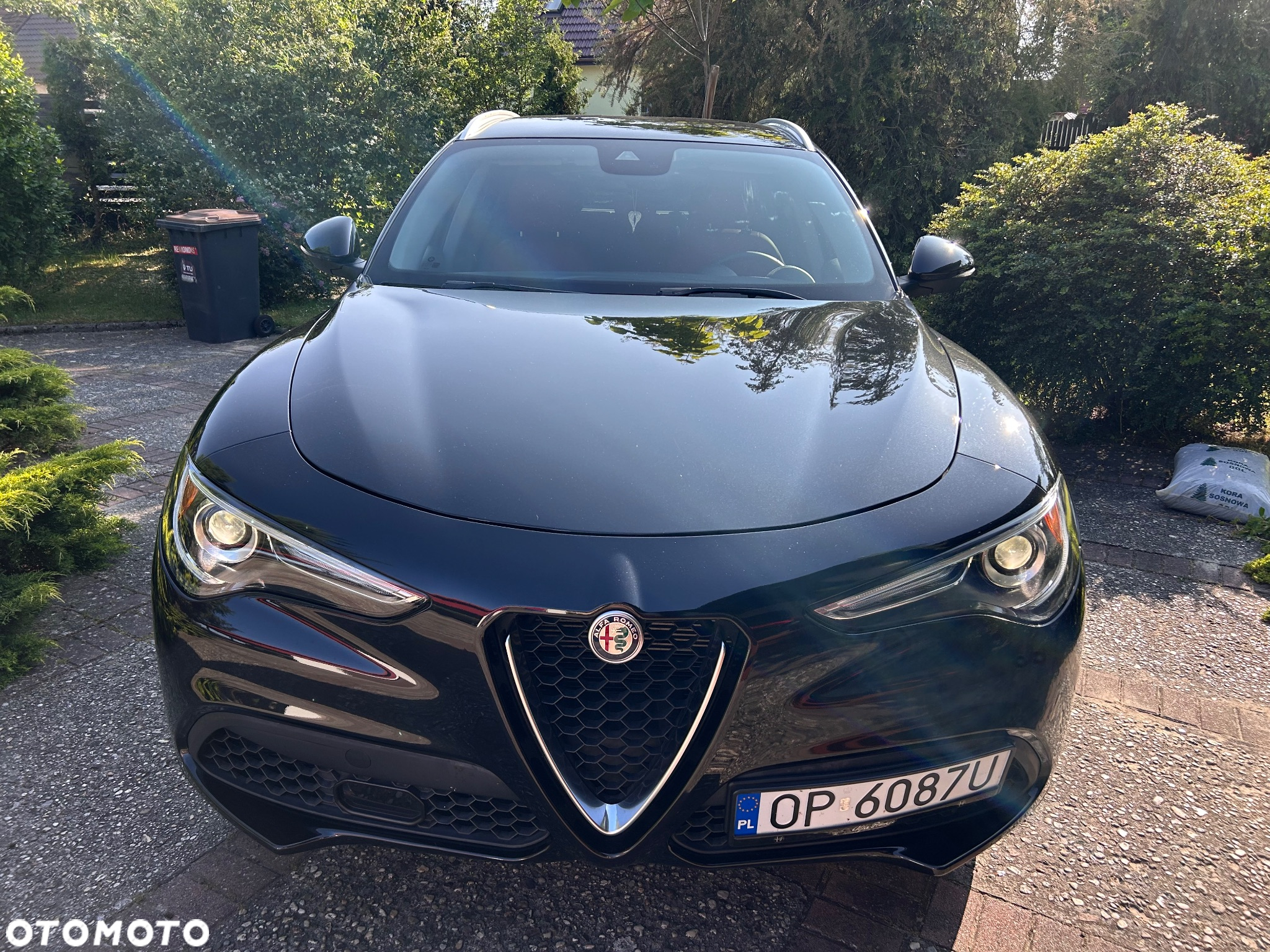 Alfa Romeo Stelvio - 10