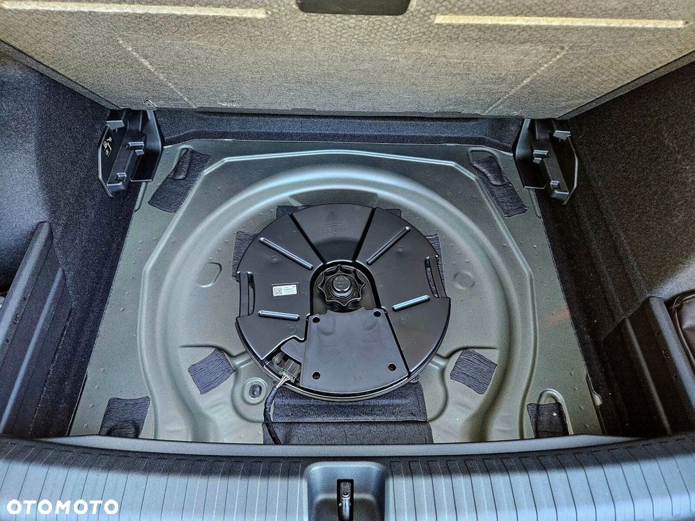 Cupra Terramar 2.0 TSI 4Drive DSG - 22