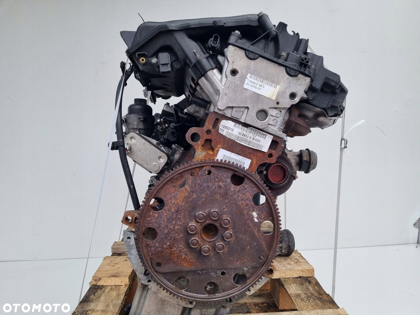 SILNIK KOMPLET BMW X5 E53 3.0 D DIESEL ładnie pali M57D30 306D1 - 5