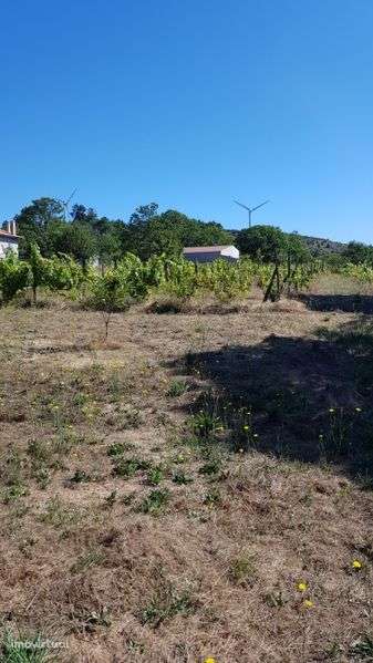 Lote de terreno - Grande imagem: 2/2