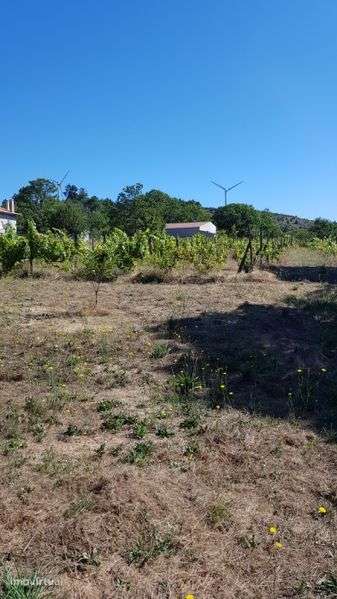 Lote de terreno - Grande imagem: 2/2