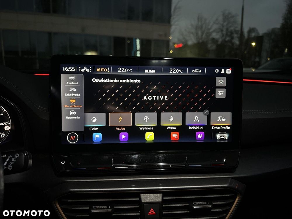 Cupra Formentor 2.5 TSI 4Drive VZ5 DSG - 25