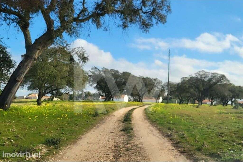 Terreno com 126 Hectares em Odemira - Grande imagem: 2/21