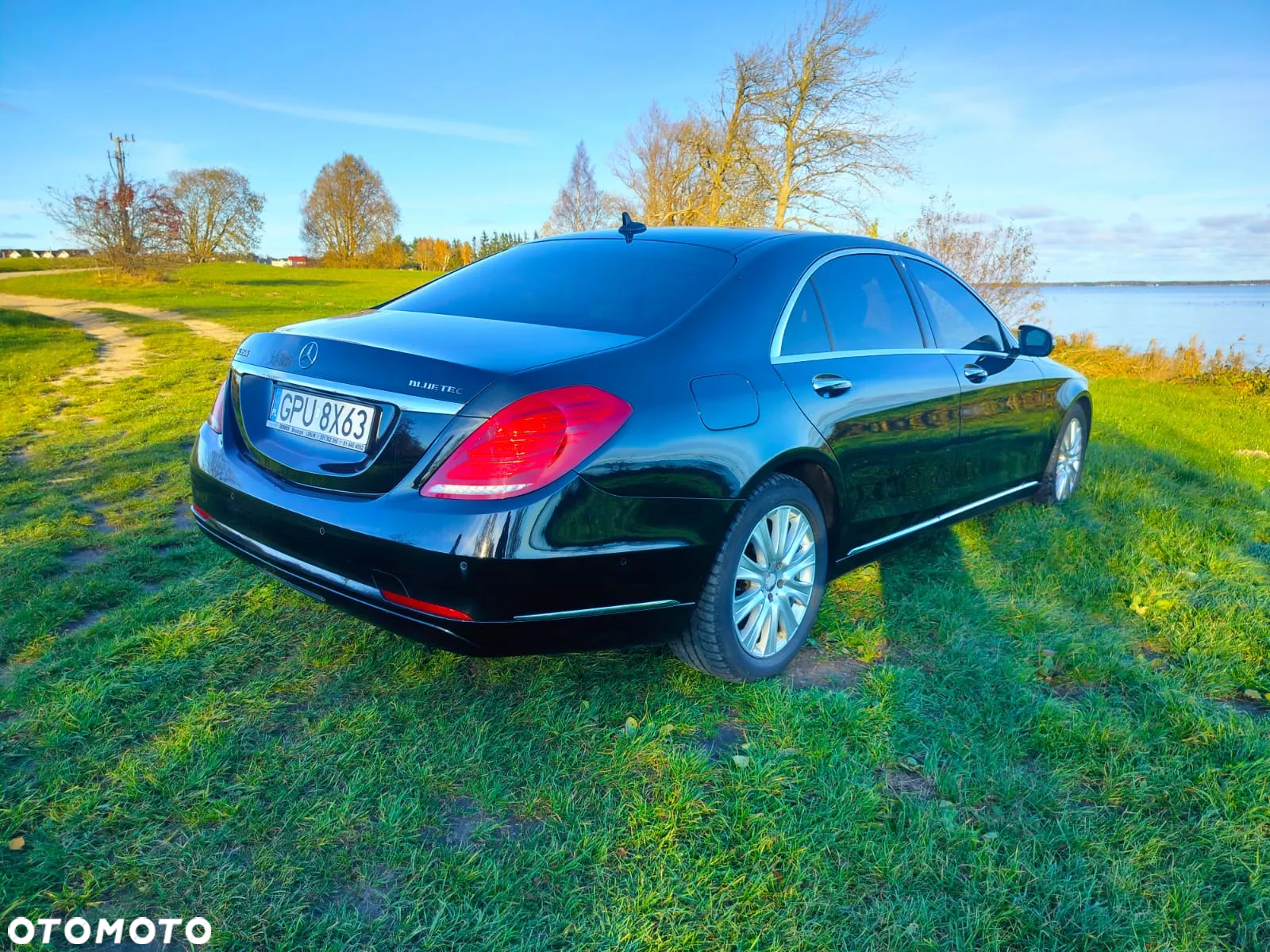 Mercedes-Benz Klasa S 350 (BlueTEC) d L 7G-TRONIC - 18