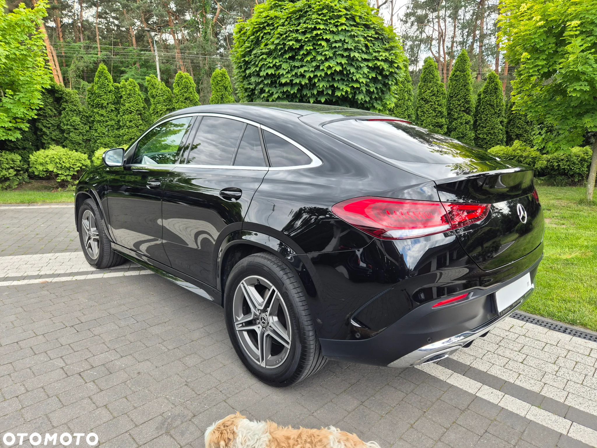 Mercedes-Benz GLE 300 d 4-Matic - 17