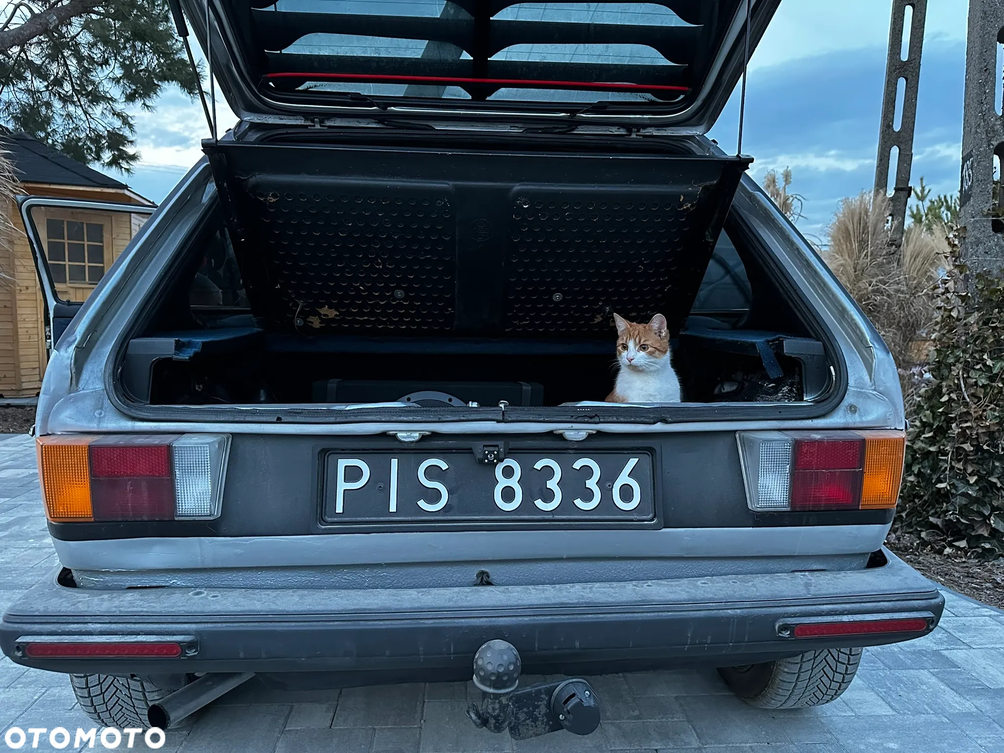 Volkswagen Golf 1.6 (C) D - 8