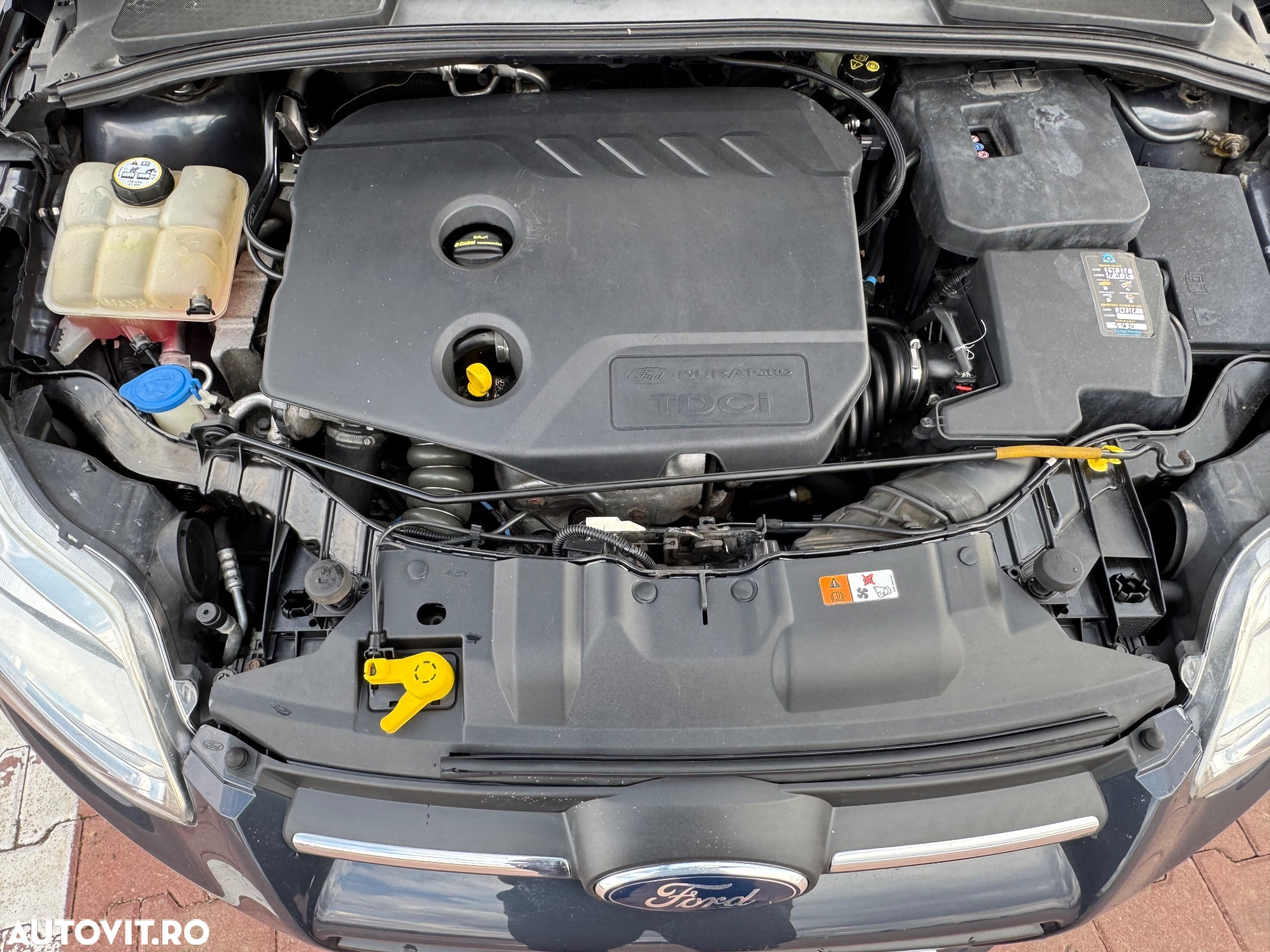 Ford Focus 1.6 TDCi DPF Start-Stopp-System Champions Edition - 39