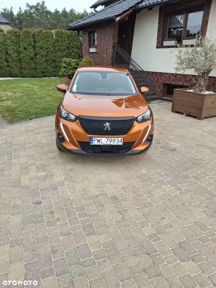 Peugeot 2008 BlueHDi 100 Active - 2