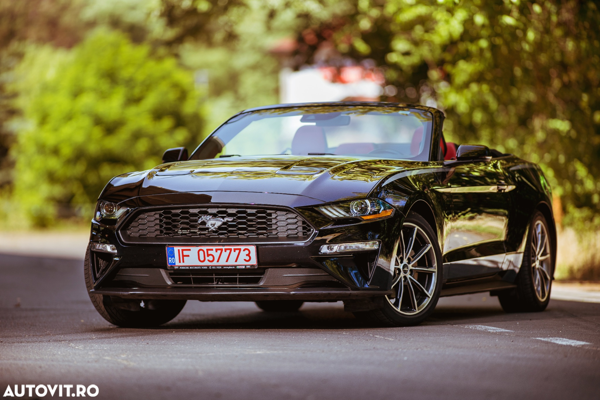 Ford Mustang Cabrio 2.3 Eco Boost - 3
