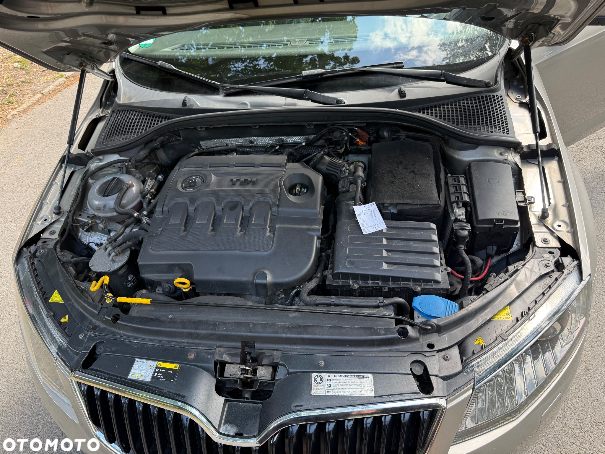 Skoda Octavia 1.6 TDI 4x4 Elegance - 8