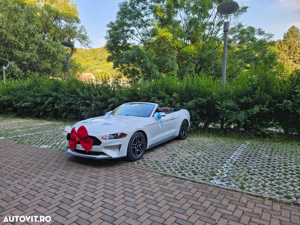 Ford Mustang Cabrio 2.3 Eco Boost - 1
