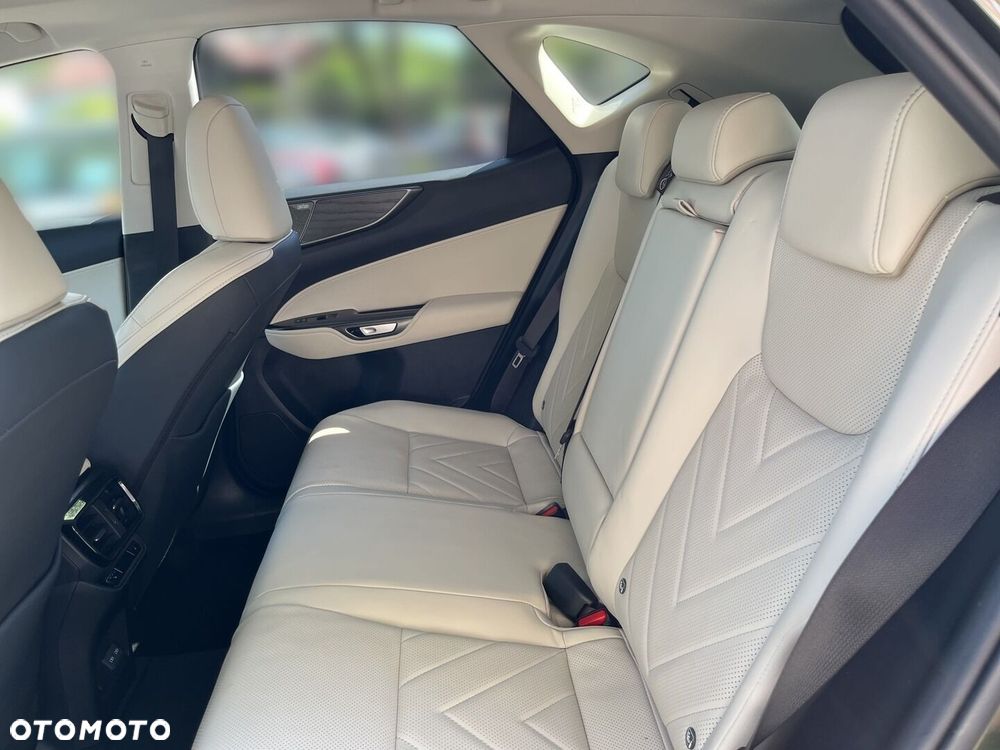 Lexus NX - 6