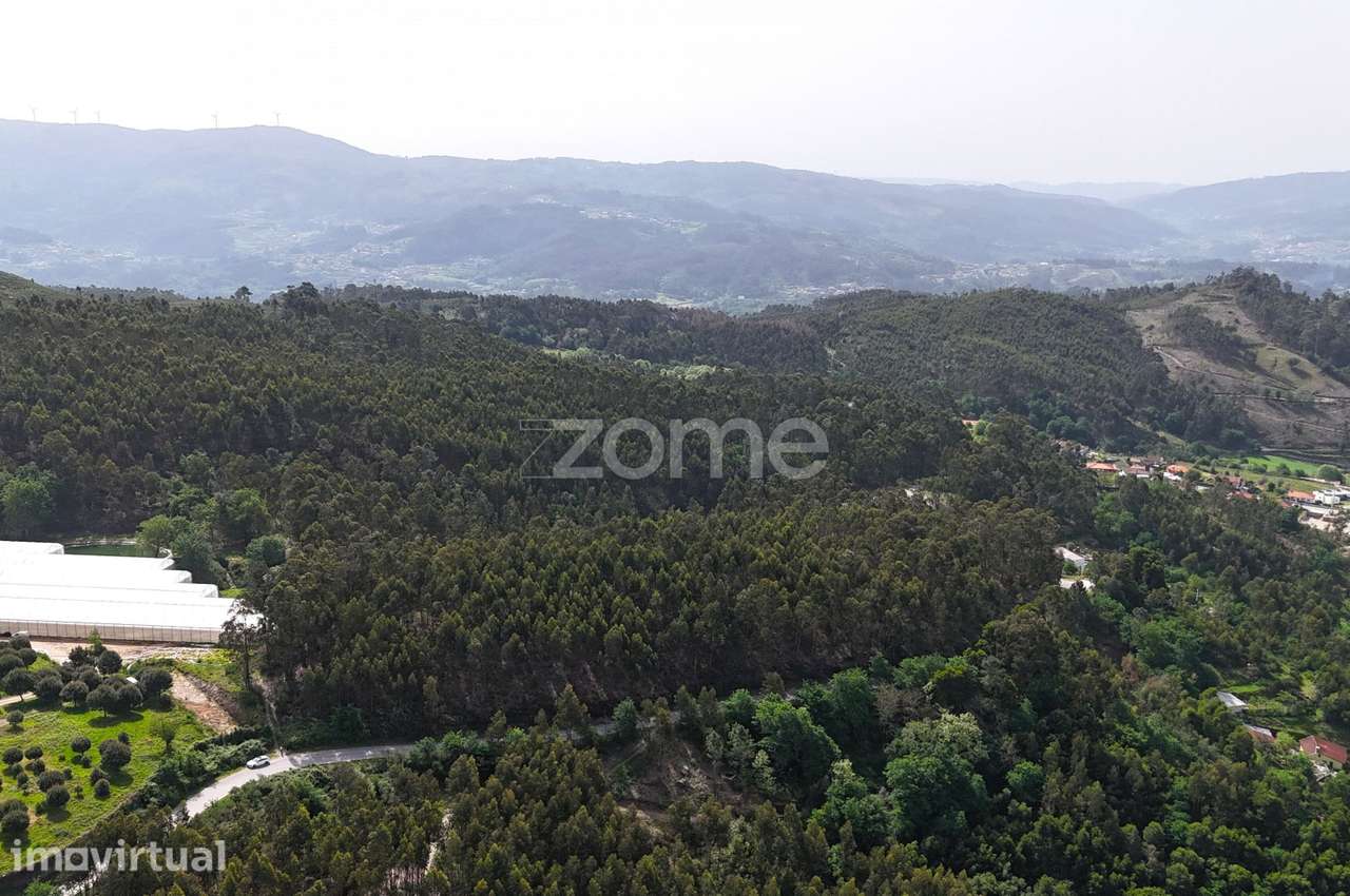 TERRENO COM 2 HECTARES POVOA DE LANHOSO - Grande imagem: 4/15