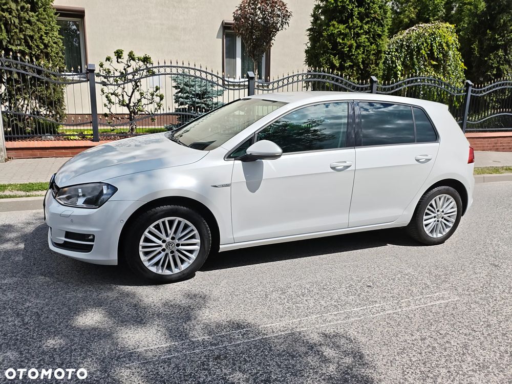 Volkswagen Golf 1.6 TDI BlueMotion Technology Cup - 9