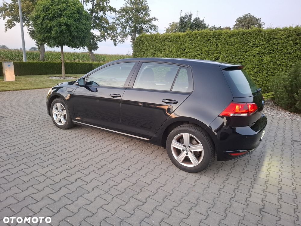 Volkswagen Golf - 20
