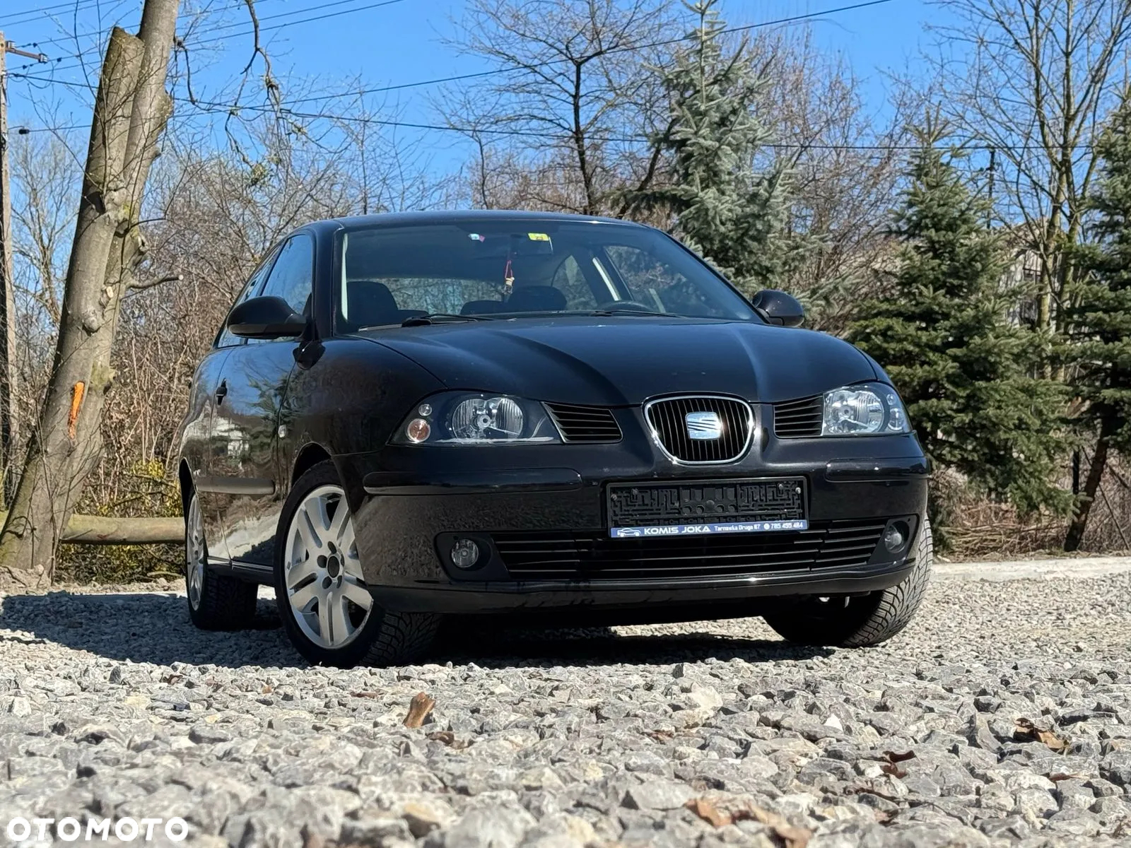 Seat Ibiza 1.9 TDI Comfort Edition - 2