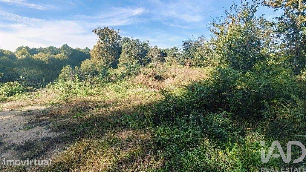 Terreno Agrícola em Reboreda e Nogueira - Grande imagem: 2/6