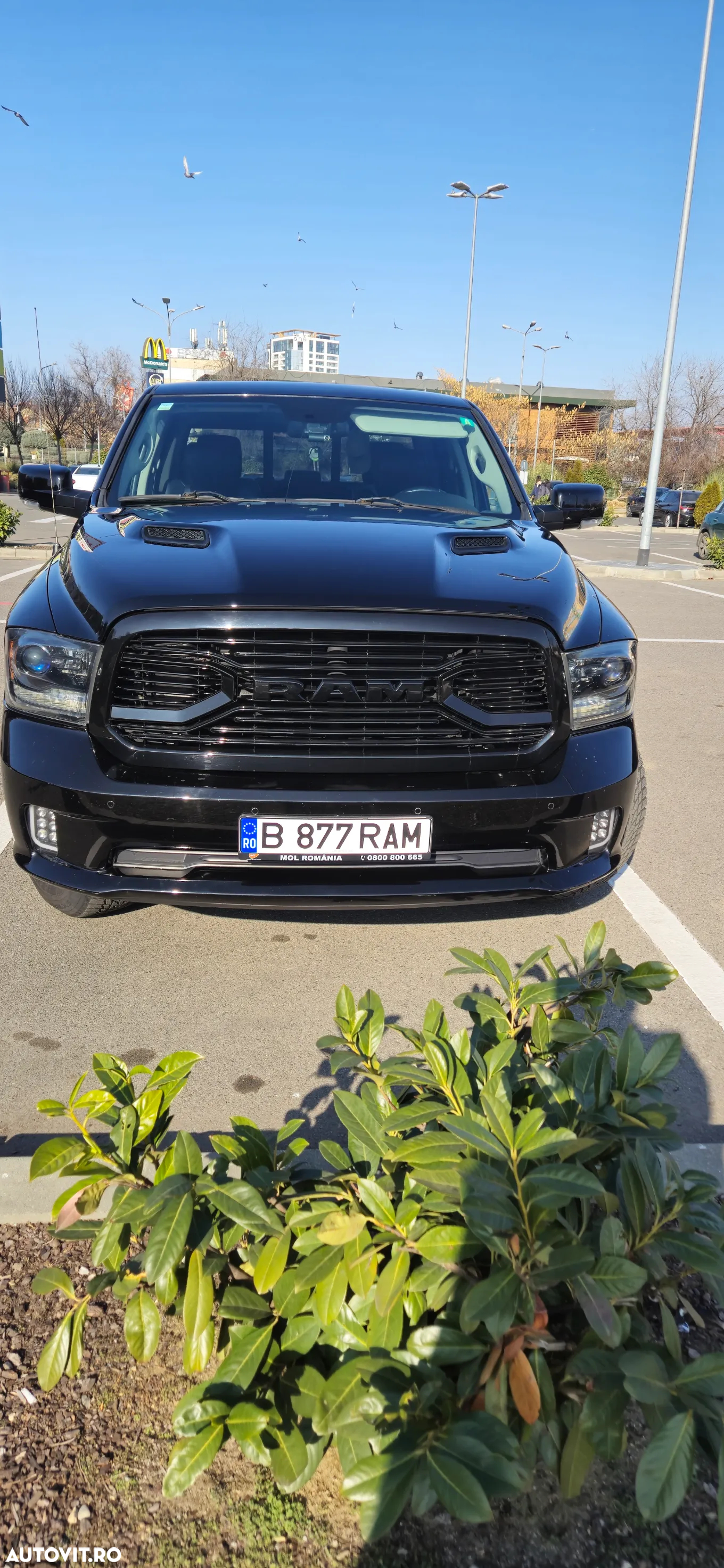 Dodge RAM - 14