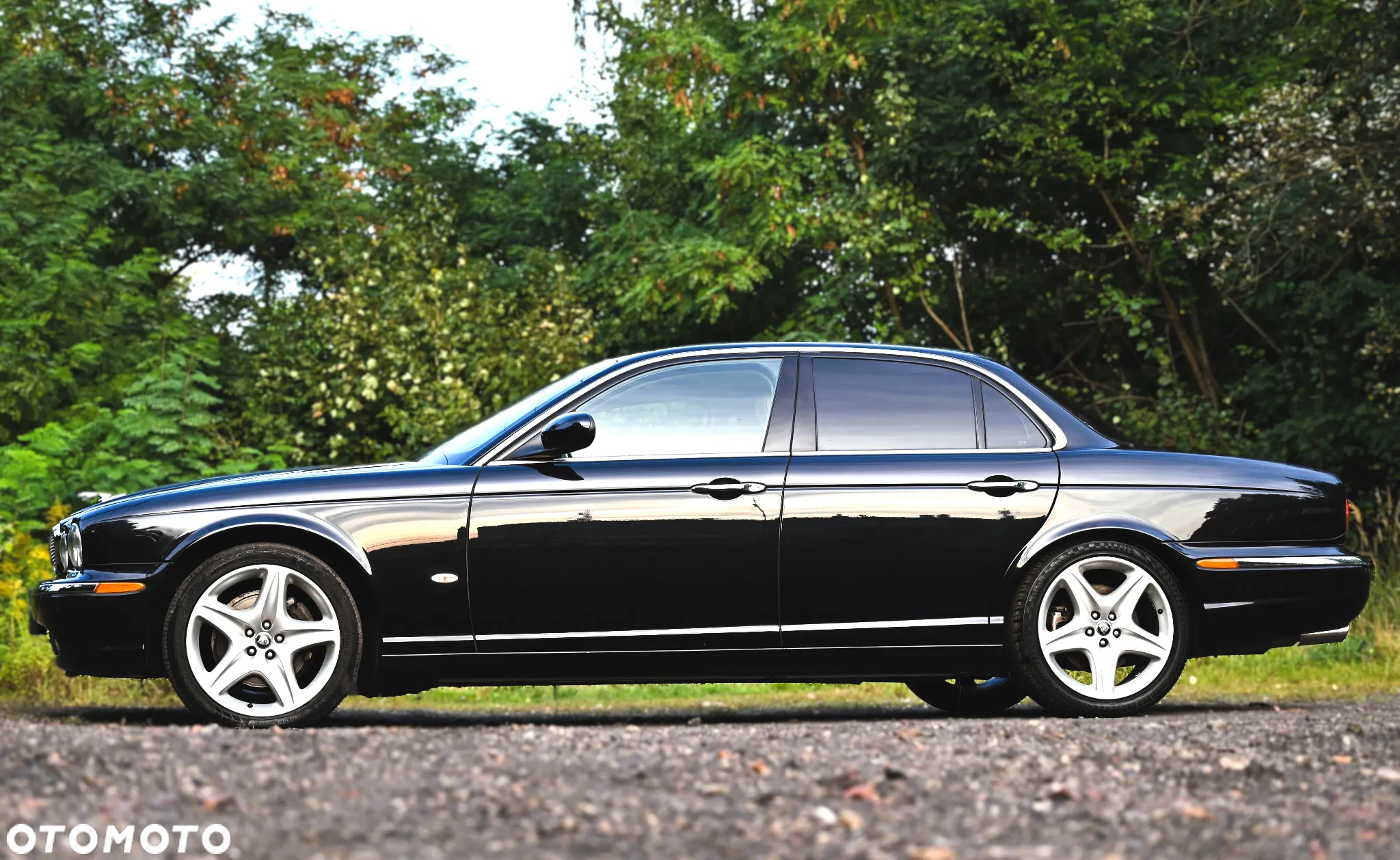 Jaguar XJ XJ8 4.2 Executive - 3