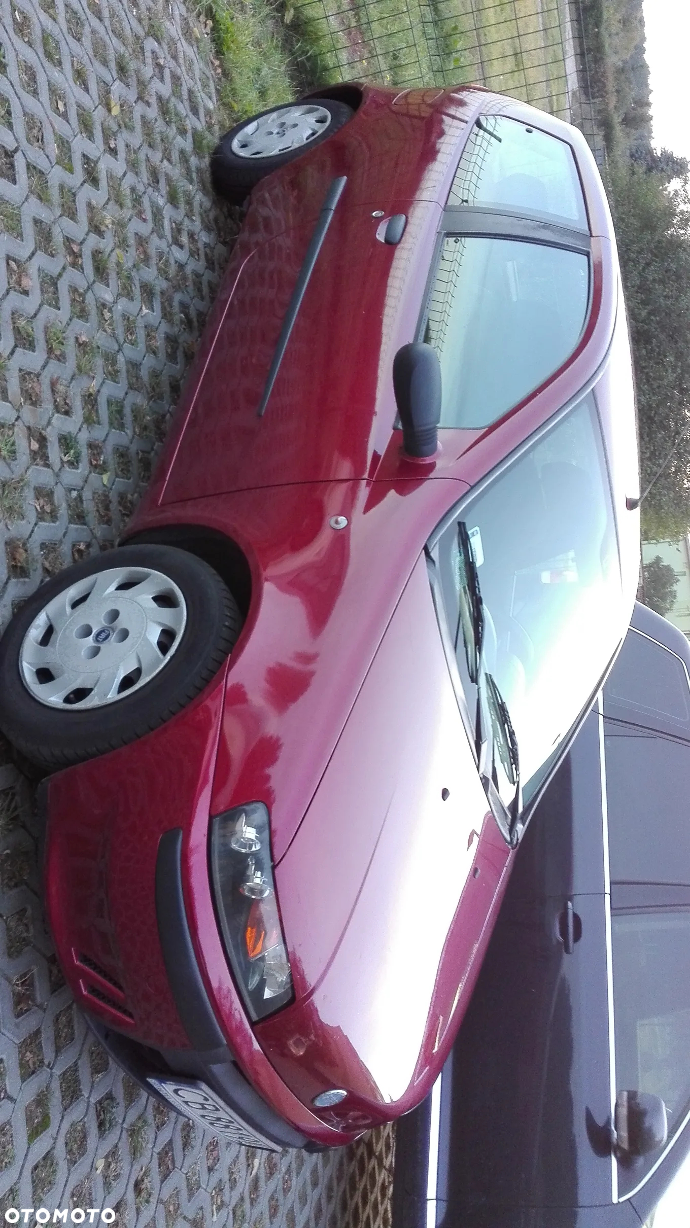 Fiat Punto 1.2 8V GO - 2