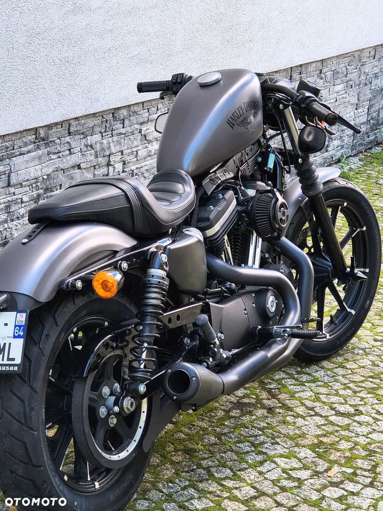 Harley-Davidson Sportster Custom 883C - 3