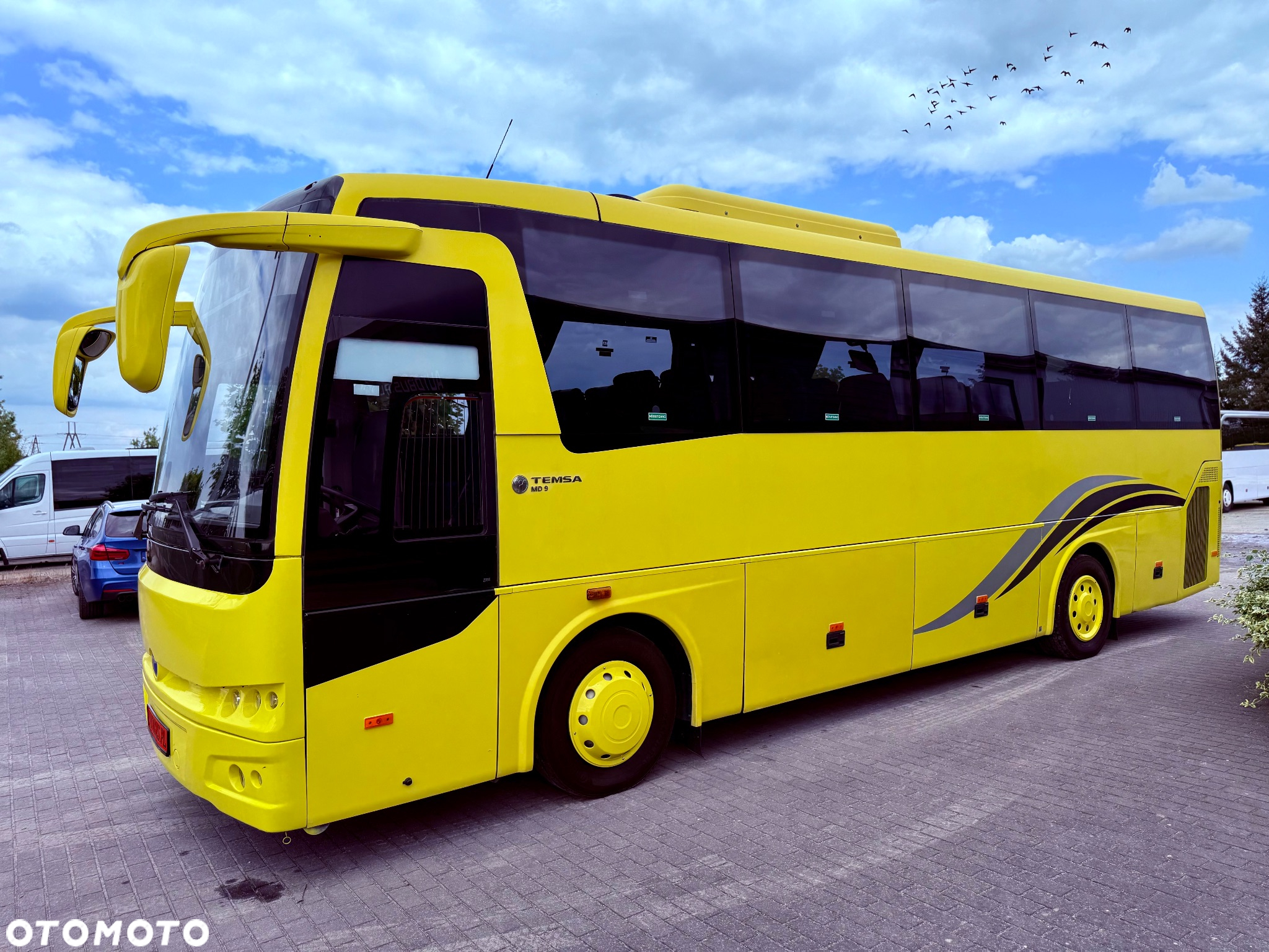 Temsa MD9 - 5
