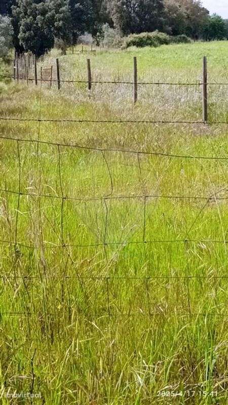 Terreno  para venda - Grande imagem: 3/8