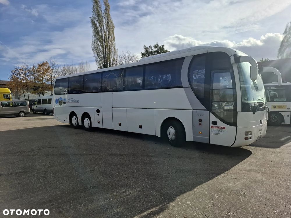 MAN LION'S COACH - 2