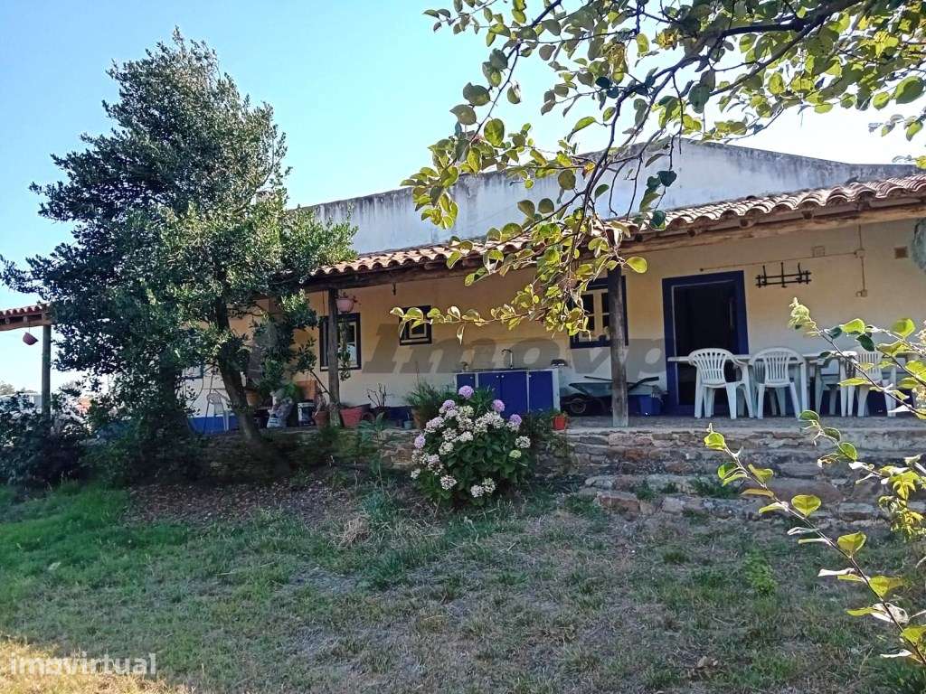Herdade de 48,5Ha localizada no Malavado, São Teotónio com 20Ha de ... - Grande imagem: 2/34