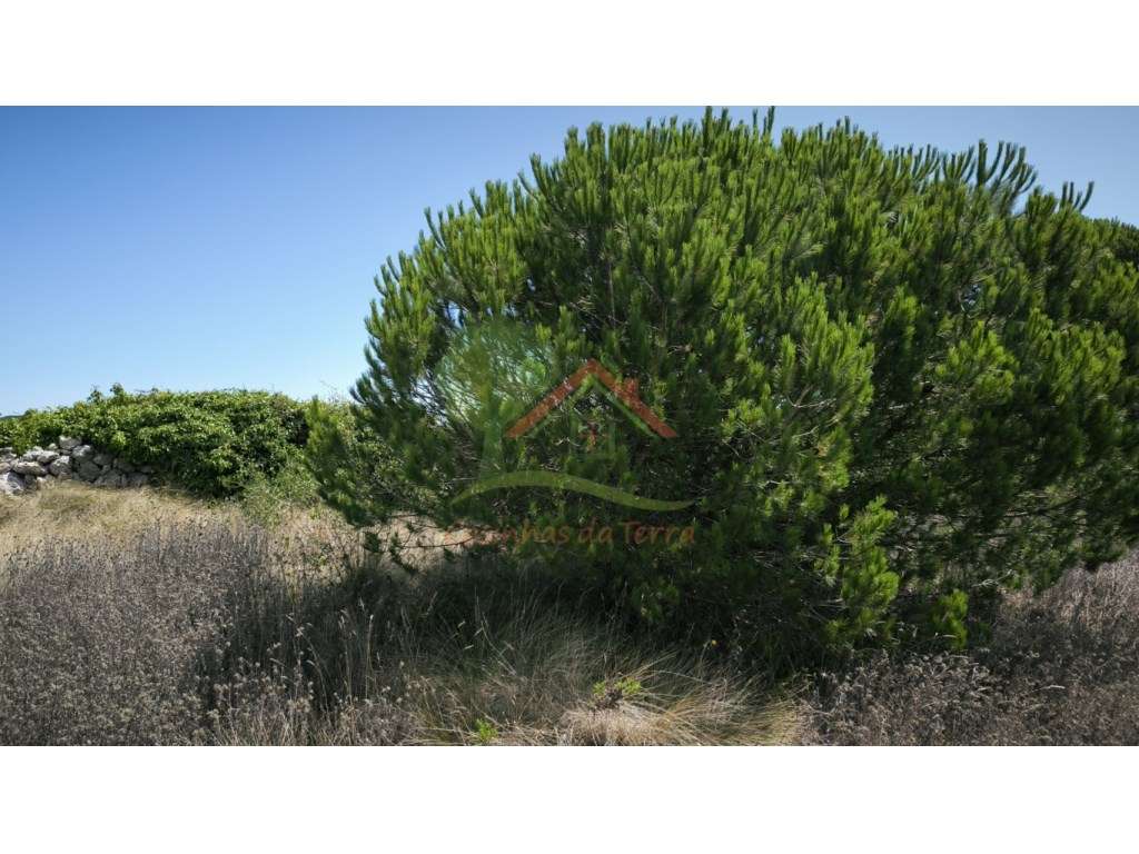 Terreno Rústico, perto de Bolelas - São João das Lampas - Grande imagem: 3/6