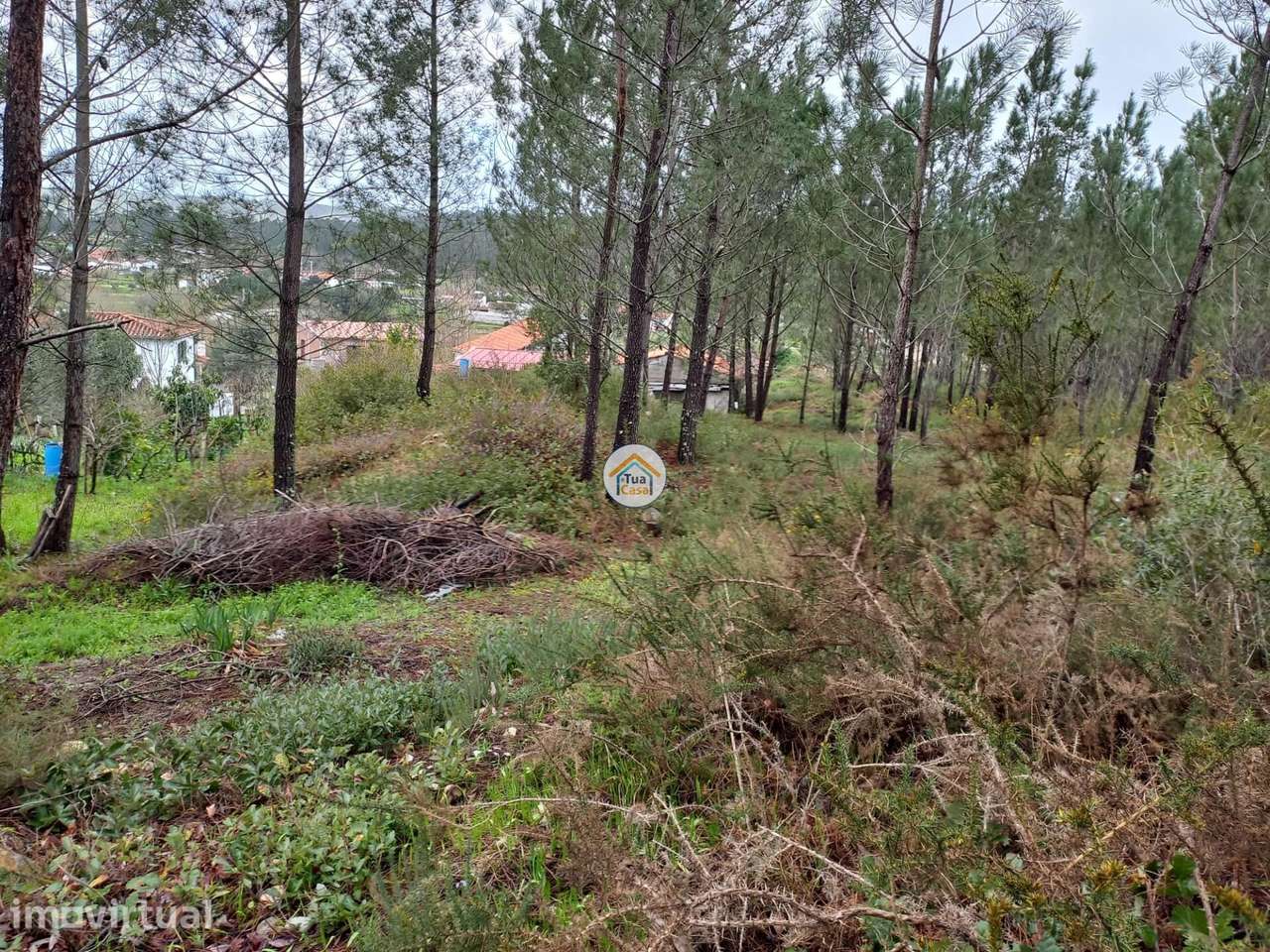 Terreno Rustico inserido no aglomerado urbano - Grande imagem: 2/12