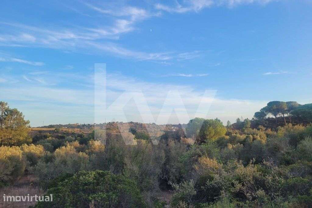 TERRENO RÚSTICO NO CERRO DE SÃO VICENTE EM PADERNE-ALBUFEIRA - Grande imagem: 4/8