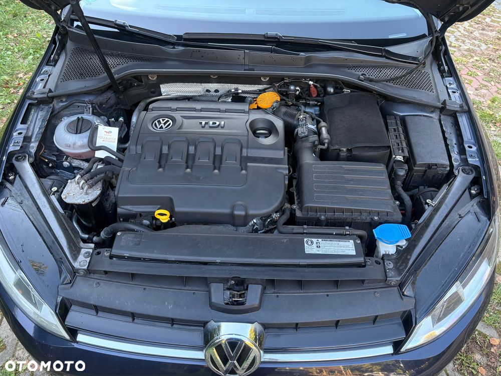 Volkswagen Golf 1.6 TDI BlueMotion Technology Allstar - 7