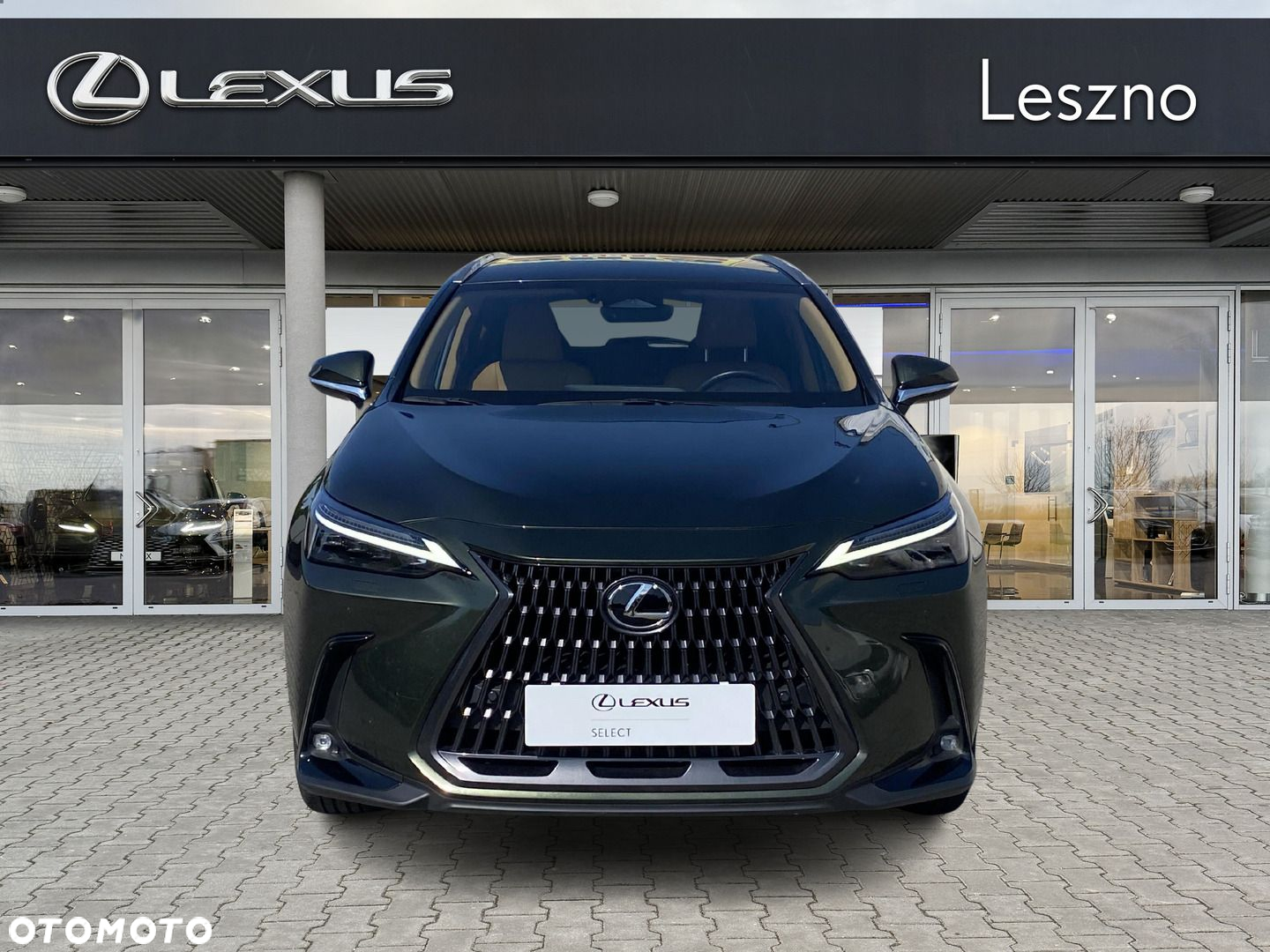 Lexus NX - 6