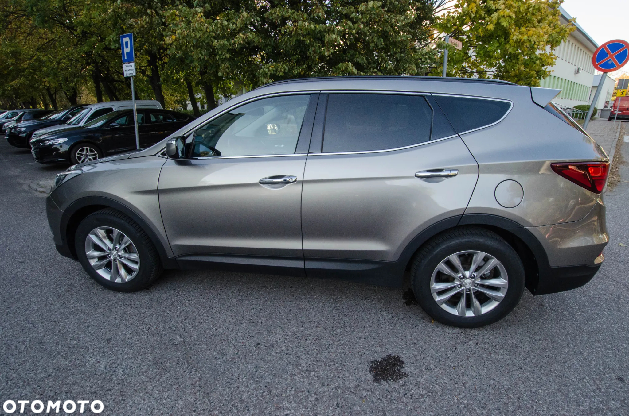 Hyundai Santa Fe - 18