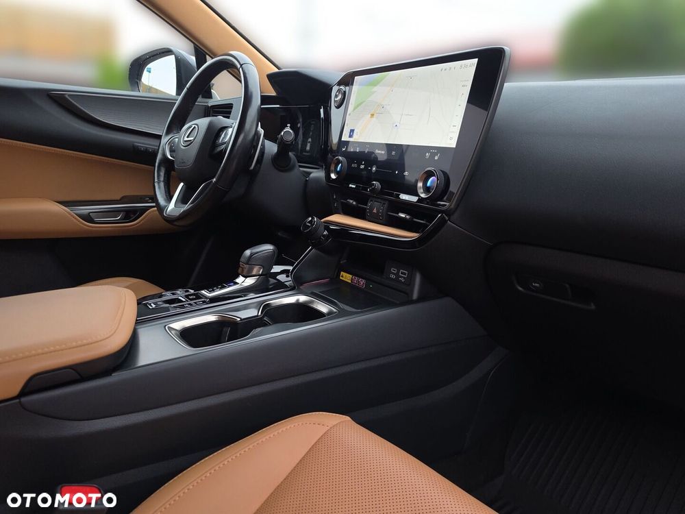 Lexus NX - 31
