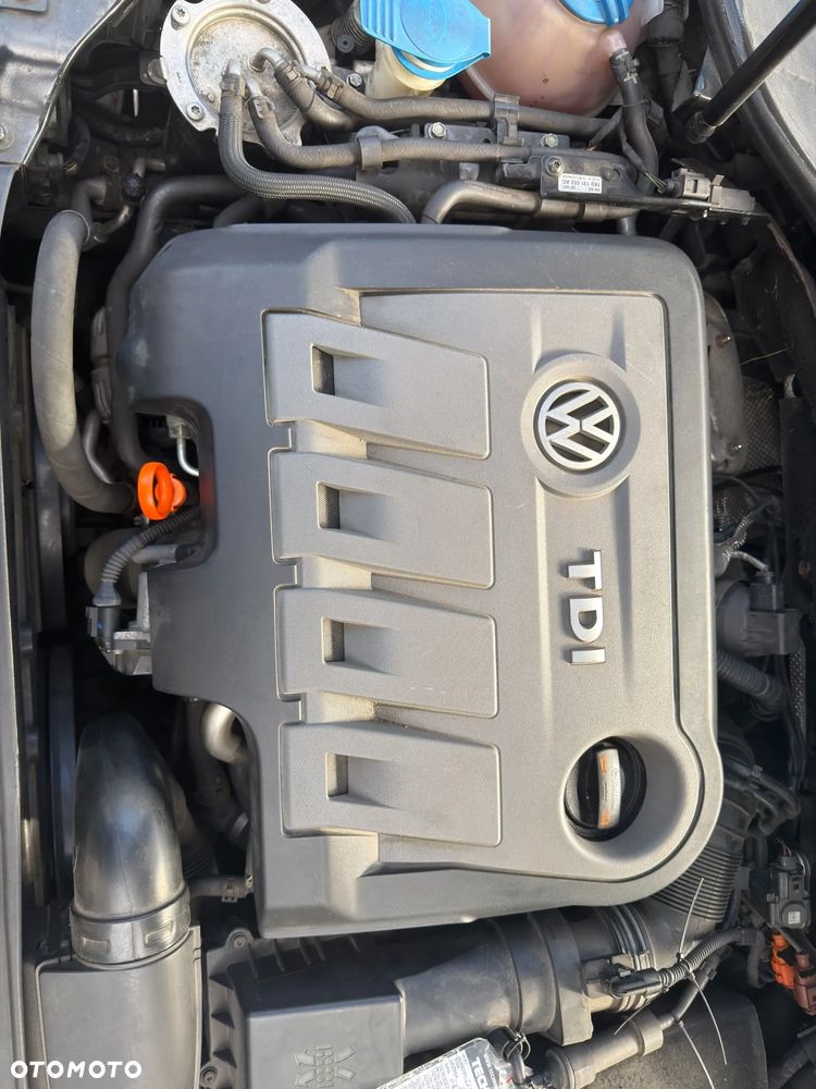 Volkswagen Golf - 21