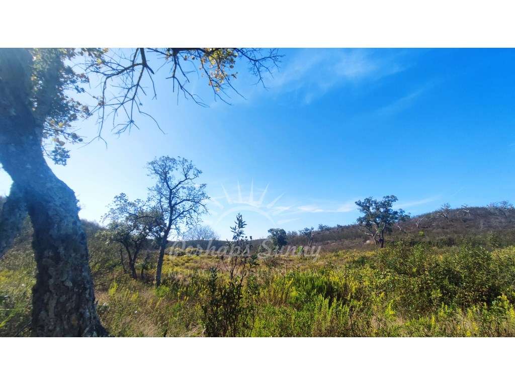 Terreno Rústico - Grande imagem: 5/26