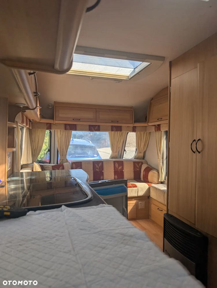 Avondale Argente - 10