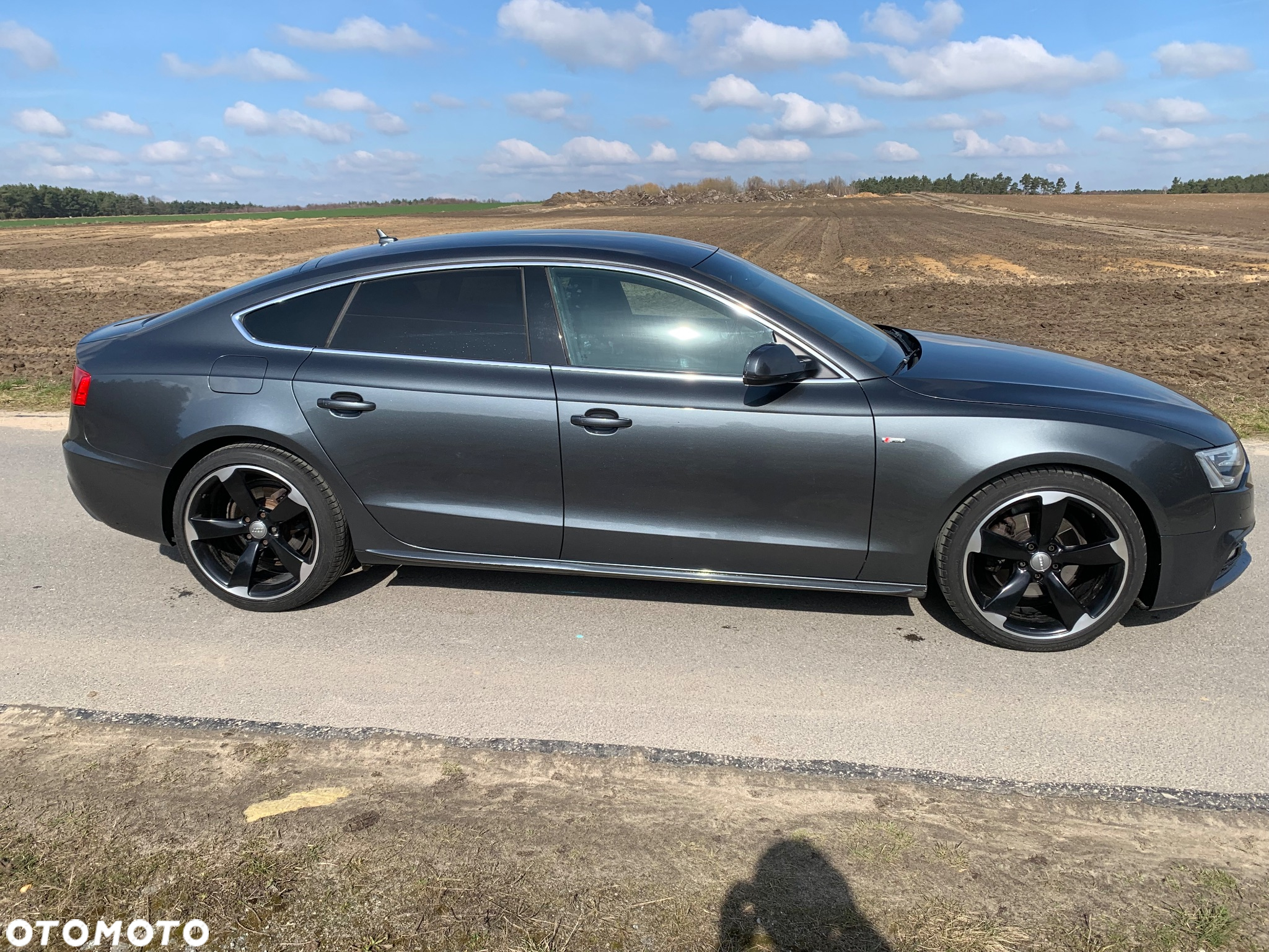 Audi A5 2.0 TDI Sportback (clean diesel) DPF multitronic - 7