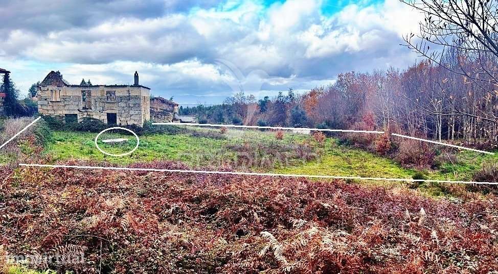 Lote de 7 Terrenos em Tábua - Grande imagem: 2/27