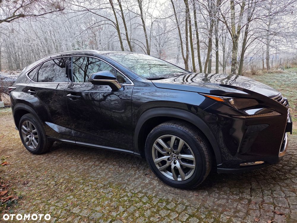 Lexus NX 300 Comfort AWD - 9