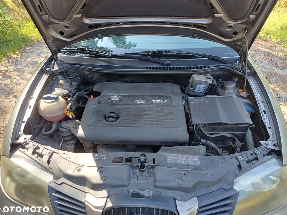 Seat Ibiza - 14