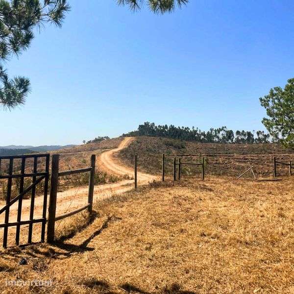 Monte Alentejano com Moinho Tradicional - Grande imagem: 3/12