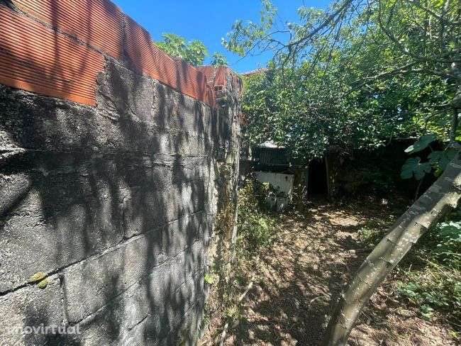 Moradia para reconstrução total em Sao joao de Ver - Grande imagem: 5/9