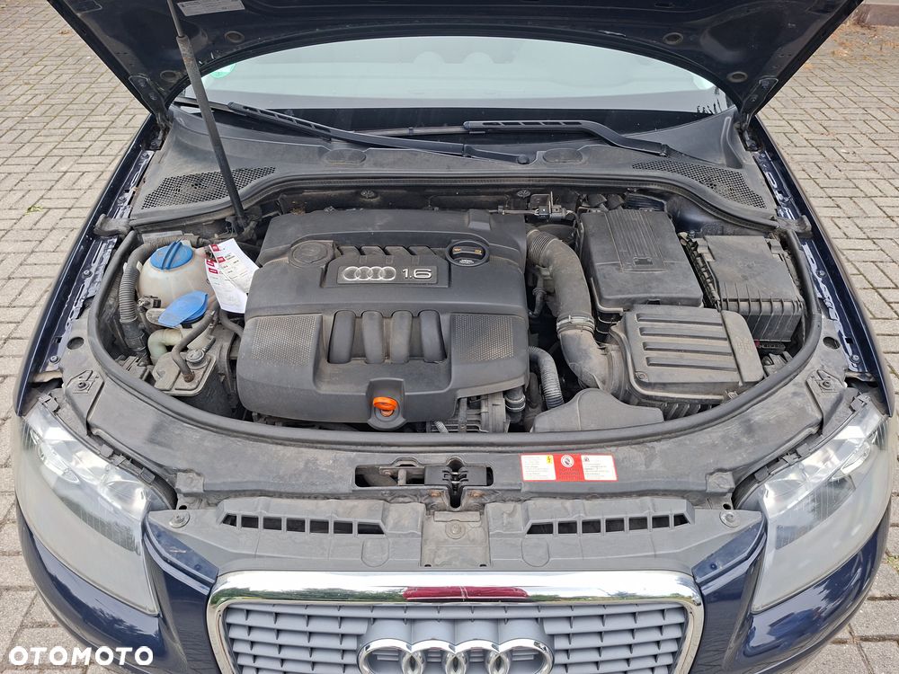 Audi A3 3-drzwiowe - 12