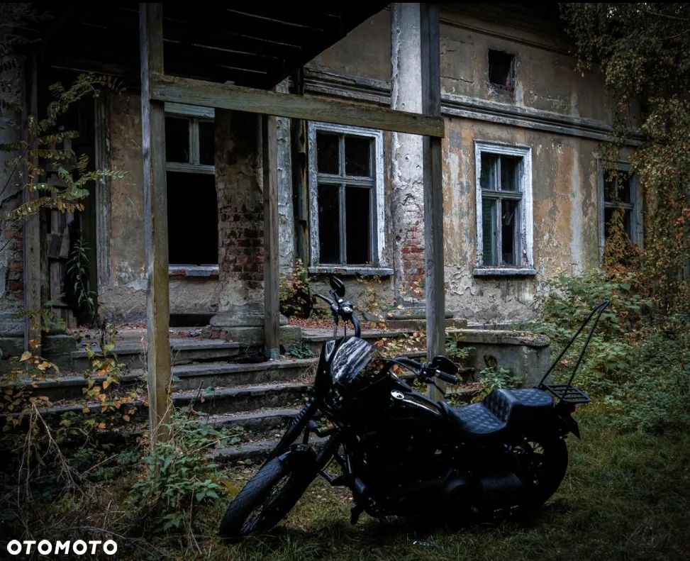 Harley-Davidson Dyna Street Bob - 6